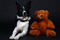 Murphy (2)